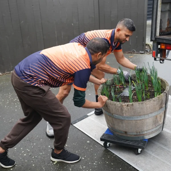 EasyWay Movers staff carefully loading a large wooden planter onto a moving truck using a trolley.
